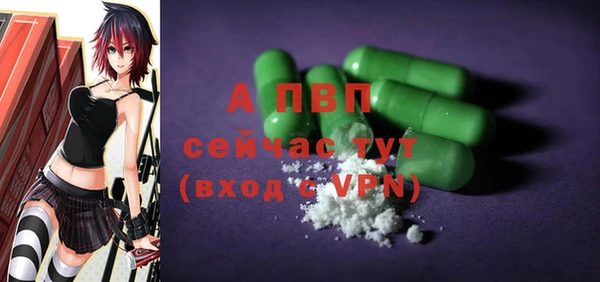 сатива Горнозаводск