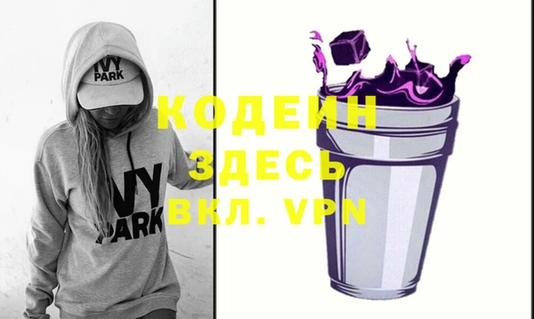 амф Гусев