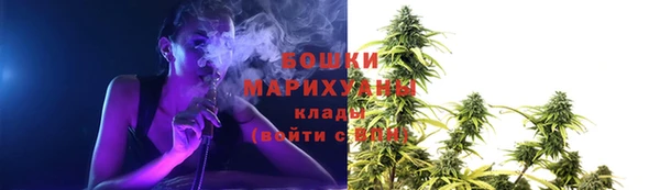 сатива Горнозаводск