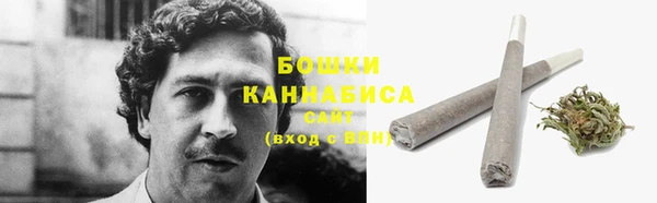 МДПВ Горно-Алтайск