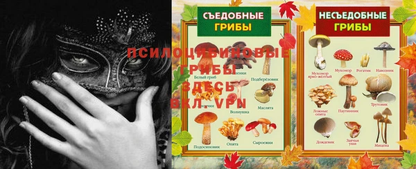 МДПВ Горно-Алтайск